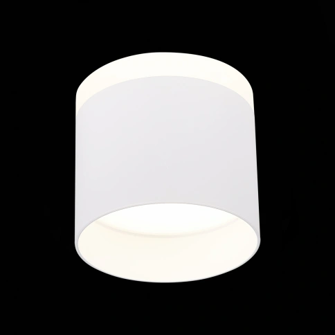 ST102.542.12 Светильник потолочный Белый LED 1*12W 4000K 936Lm Ra>80 120° IP20 D100xH90 170-240V фото 1