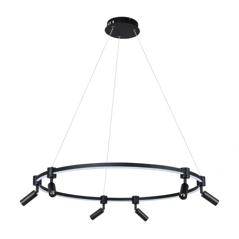 Подвесная люстра Arte Lamp RING A2186SP-1BK фото 1