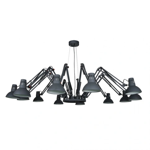 Подвесная люстра Arte Lamp RAGNO A2043SP-12BK фото 1