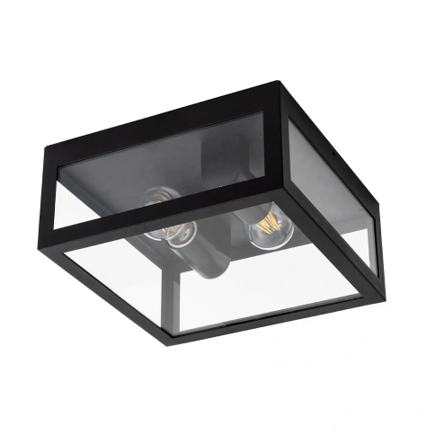 Уличный потолочный светильник Arte Lamp BELFAST A4569PF-2BK фото 1
