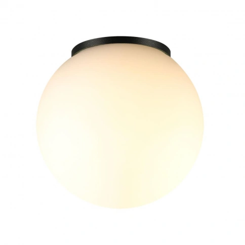 7124/1C NATURE ODL25 Потолочный светильник белый/стекло/металл IP54  1*G9 LED*5W  220-240V VIVA фото 3