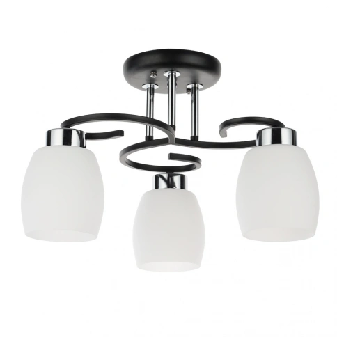 Потолочная люстра Arte Lamp KRIT A4505PL-3BK фото 1