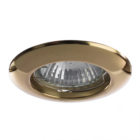 Точечный встраиваемый светильник Arte Lamp PRAKTISCH A1203PL-1GO фото 1