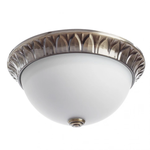Потолочный светильник Arte Lamp PORCH A7838PL-2AB фото 1