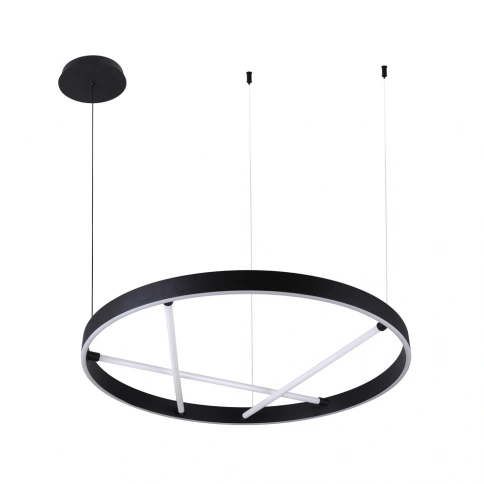 Подвесная люстра ARTE LAMP RICCO A1874SP-45BK фото 1