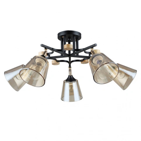 Потолочная люстра Arte Lamp GLASSY A5078PL-5BK фото 1