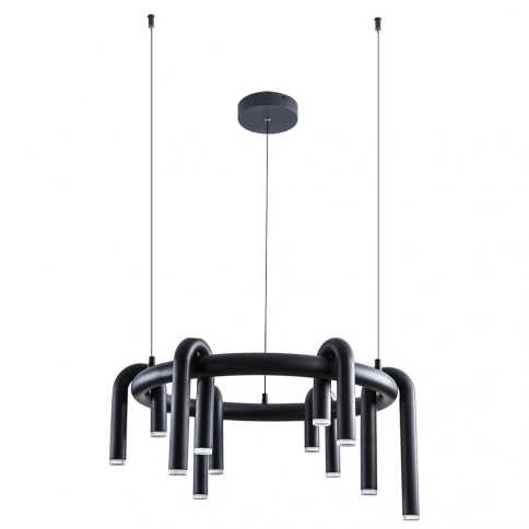 Подвесная люстра Arte Lamp WARHOL A3258LM-30BK фото 1