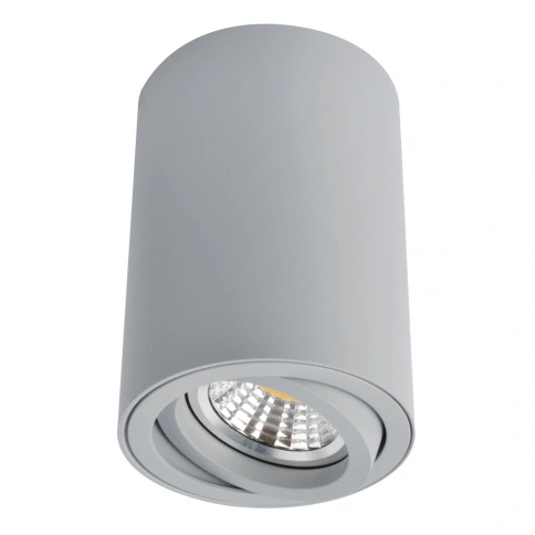 Точечный накладной светильник Arte Lamp SENTRY A1560PL-1GY фото 1