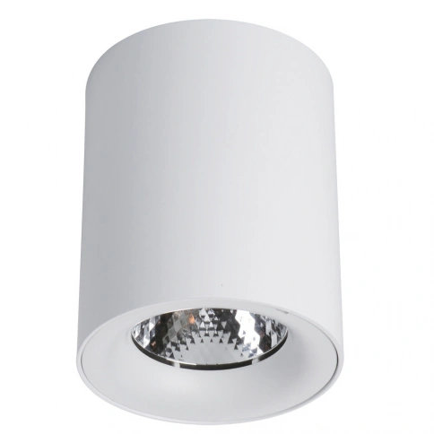 Точечный накладной светильник Arte Lamp FACILE A5112PL-1WH фото 1