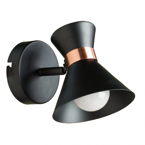 Спот Arte Lamp BALTIMORE A1406AP-1BK фото 1
