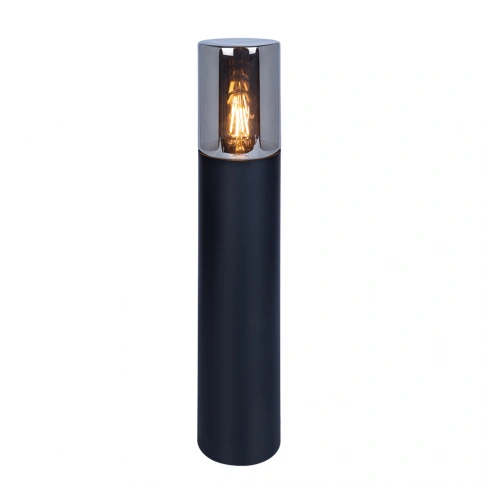Ландшафтный светильник Arte Lamp WAZN A6215PA-1BK фото 1