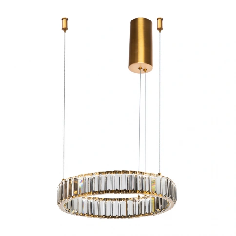 Подвесная люстра Divinare RENATA 1135/17 SP-25 фото 1