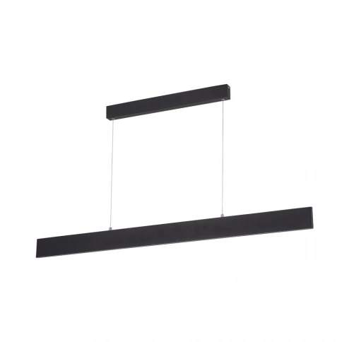 Подвесной светильник Arte Lamp LARGO A2505SP-2BK фото 1