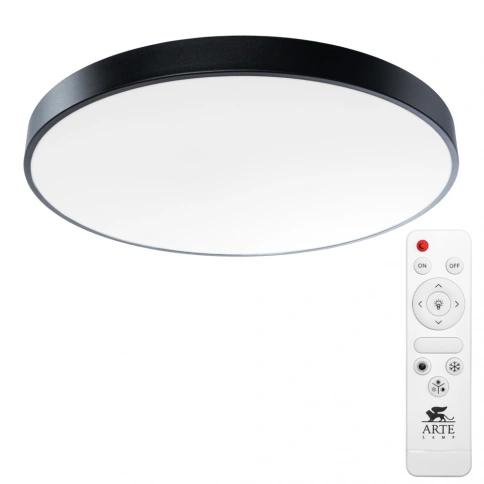 Потолочный светильник Arte Lamp ARENA A2673PL-1BK фото 1