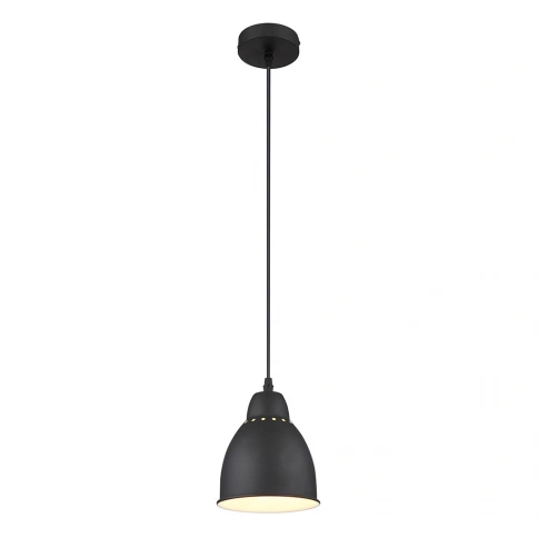 Подвесной светильник Arte Lamp BRACCIO A2054SP-1BK фото 1
