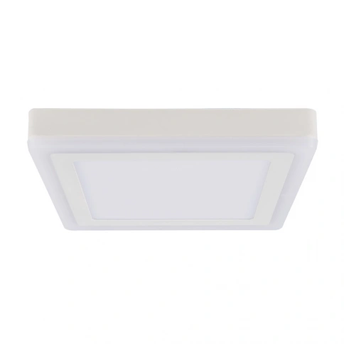 Потолочный светильник Arte Lamp ALTAIR A7724PL-2WH фото 1