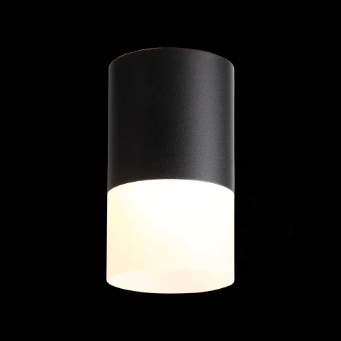 ST100.402.10 Светильник потолочный Черный LED 1*10W 3000K 780Lm Ra>80 120° D78xH135 170-240VV фото 1