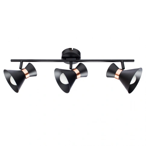 Спот Arte Lamp BALTIMORE A1406PL-3BK фото 1
