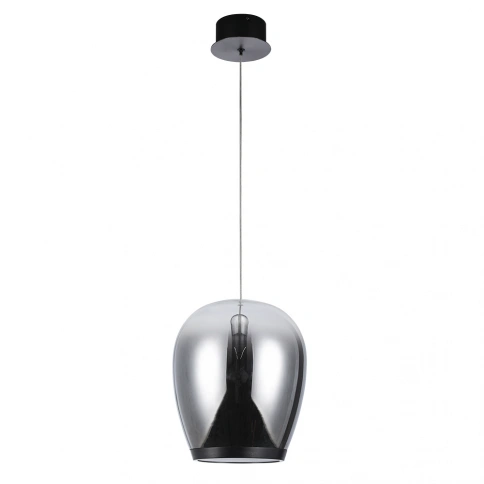 Подвесной светильник Divinare CAMPO 5875/51 SP-20 фото 1