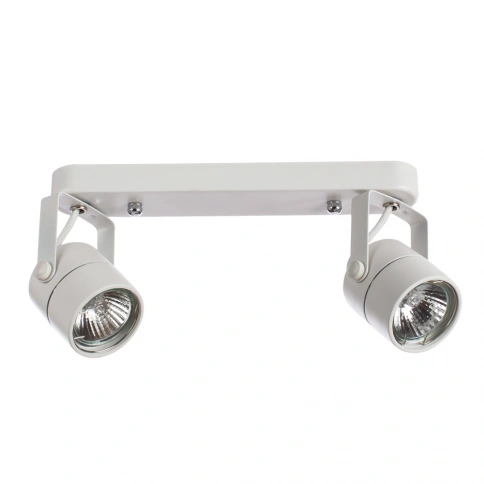 Спот Arte Lamp LENTE A1310PL-2WH фото 1