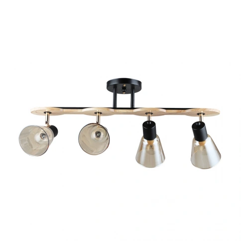 Спот Arte Lamp HARMONY A5112PL-4BK фото 1