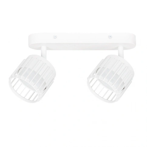 Спот Arte Lamp ATRIA A8031PL-2WH фото 1