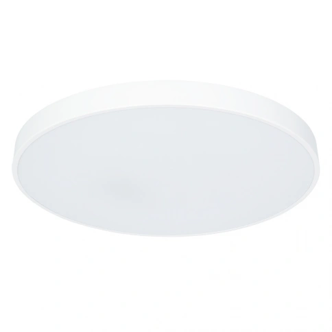 Потолочный светильник Arte Lamp ARENA A2671PL-1WH фото 1