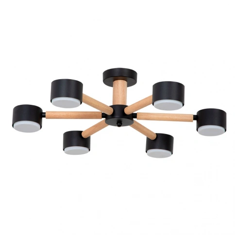 Потолочная люстра Arte Lamp TENDA A1624PL-6BK фото 1