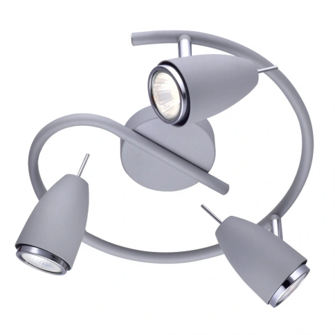 Спот Arte Lamp REGISTA A1966PL-3GY фото 1