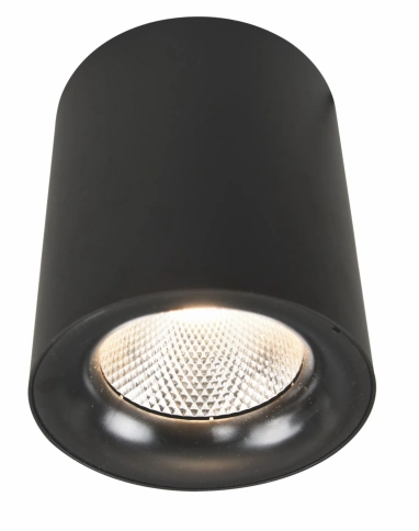 Точечный накладной светильник Arte Lamp FACILE A5118PL-1BK фото 1