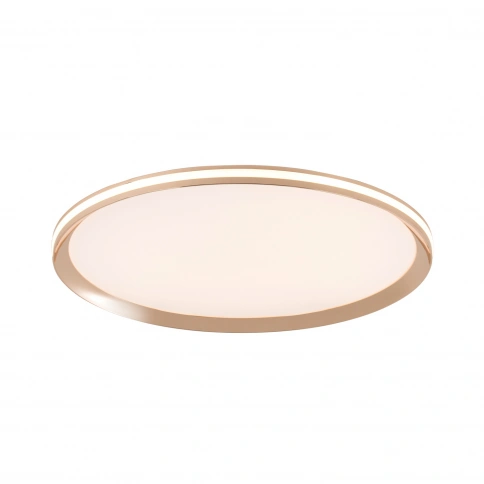 Потолочный cветильник LED4U L3020-500 GD фото 1