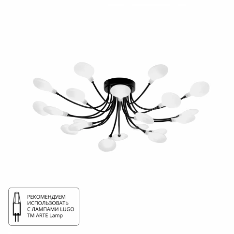 Потолочная люстра Arte lamp GUIMET A7423PL-20BK фото 1