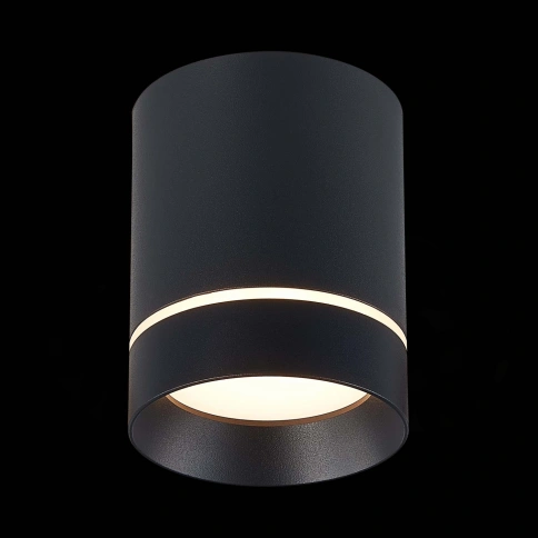 ST115.432.12 Светильник потолочный Черный LED 1*12W 3000K 840Lm Ra>90 120° IP20 D79xH100 170-240V фото 1