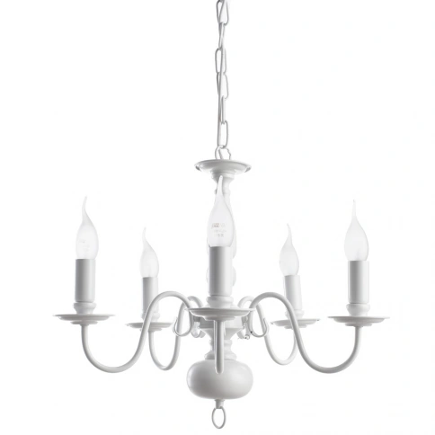 Подвесная люстра Arte Lamp ANTWERPEN A1029LM-5WC фото 1