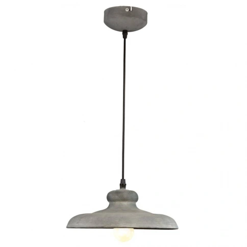 Подвесной светильник Arte Lamp LOFT A5025SP-1BG фото 1