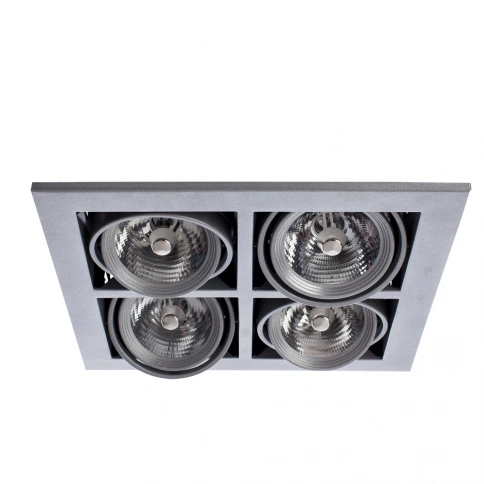 Карданный светильник Arte Lamp CARDANI MEDIO A5930PL-4SI фото 1