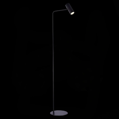 SL1006.405.01 Торшер ST-Luce Черный/Черный LED 1*3W 3000K фото 1