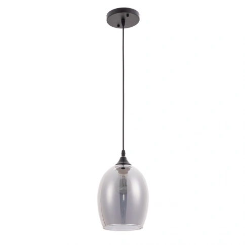 Подвесной светильник Arte Lamp PROPUS A4344SP-1BK фото 1
