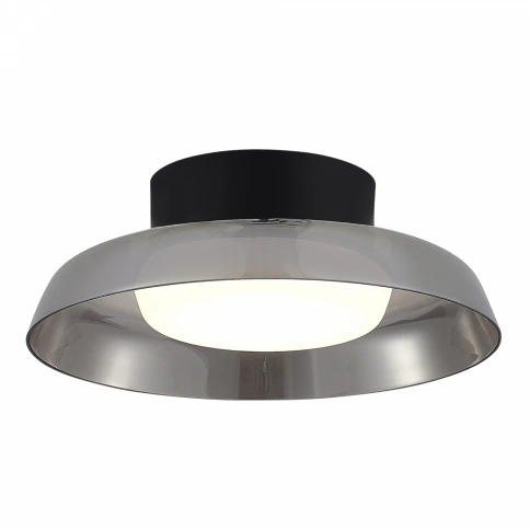 SL6019.412.01 Светильник потолочный ST-Luce Черный/Дымчатый, Белый LED 1*36W 3000K фото 1