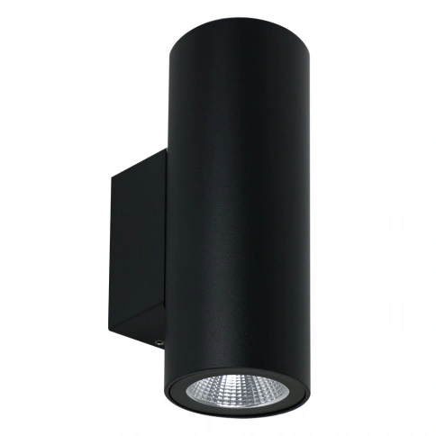 Фасадный светильник Arte Lamp TORCULAR A1307AL-2BK фото 1