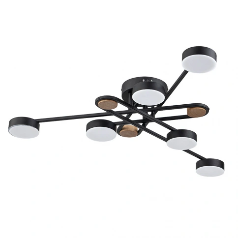 Потолочная люстра Arte Lamp TAYGETA A2455PL-6BK фото 1