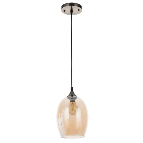 Подвесной светильник Arte Lamp PROPUS A4344SP-1AB фото 1