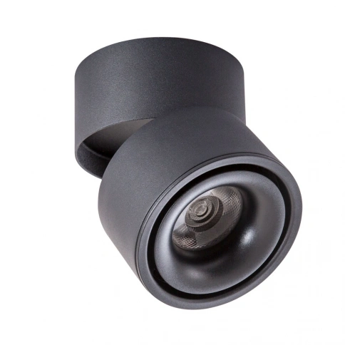 Спот Arte Lamp ARCTURUS A7715PL-1BK фото 1