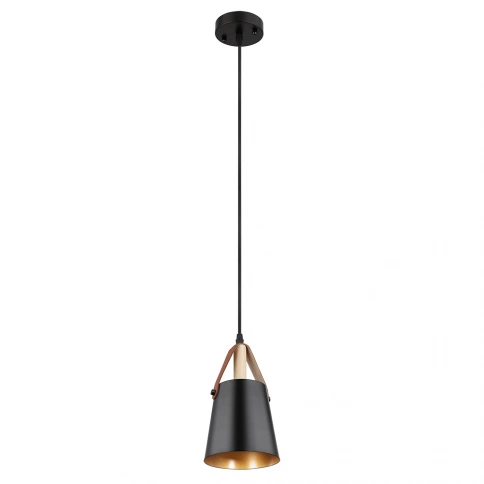 Подвесной светильник Arte Lamp THOMAS A7032SP-1BK фото 1