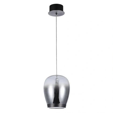 Подвесной светильник Divinare CAMPO 5875/51 SP-15 фото 1