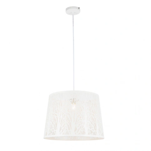 Подвесной светильник Arte Lamp CELESTA A2769SP-1WH фото 1