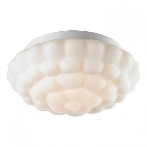 Потолочный светильник Arte Lamp AQUA A5130PL-2WH фото 1