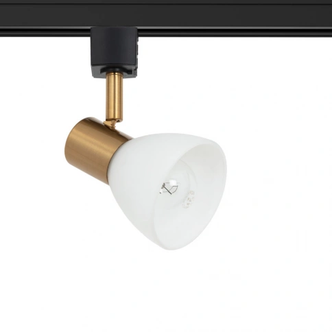 Трековый светильник Arte Lamp FALENA A3117PL-1BK фото 1