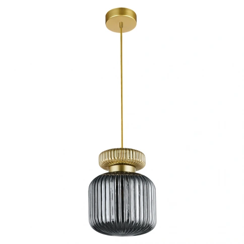 Подвесной светильник Arte Lamp HAMAL A6170SP-1GO фото 1
