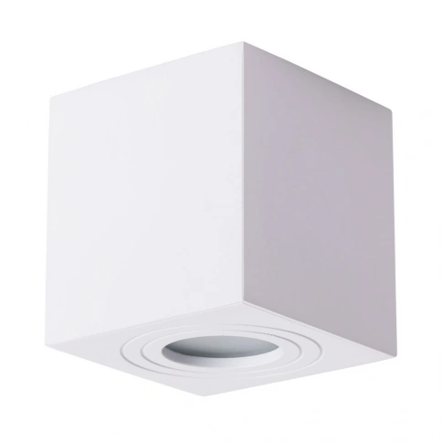 Точечный накладной светильник Arte Lamp GALOPIN A1461PL-1WH фото 1